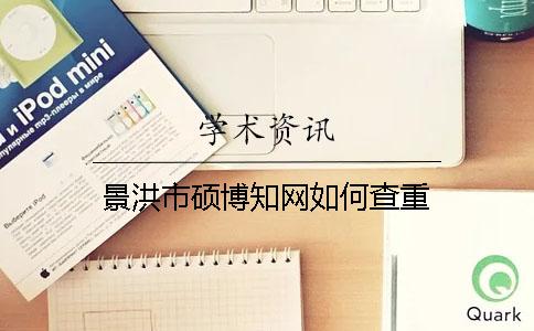 景洪市碩博學(xué)術(shù)如何查重