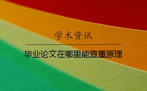 畢業論文在哪里能查重原理