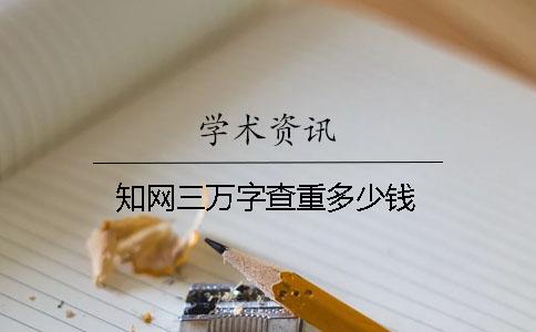 學術三萬字查重多少錢？