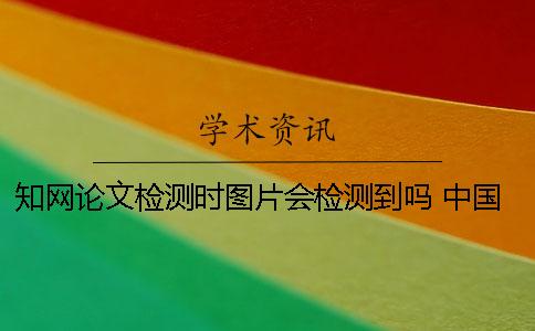 學(xué)術(shù)論文檢測時圖片會檢測到嗎？ 中國學(xué)術(shù)論文查重時圖片是否參與檢測？
